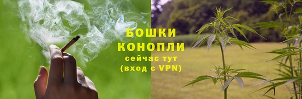 прущие крисы Магадан