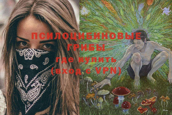 прущие крисы Магадан