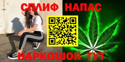 PSILOCYBIN Гусиноозёрск