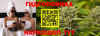 амф Гусев