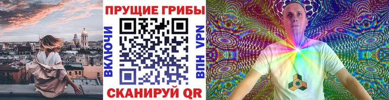 Галлюциногенные грибы GOLDEN TEACHER продажа наркотиков Армавир