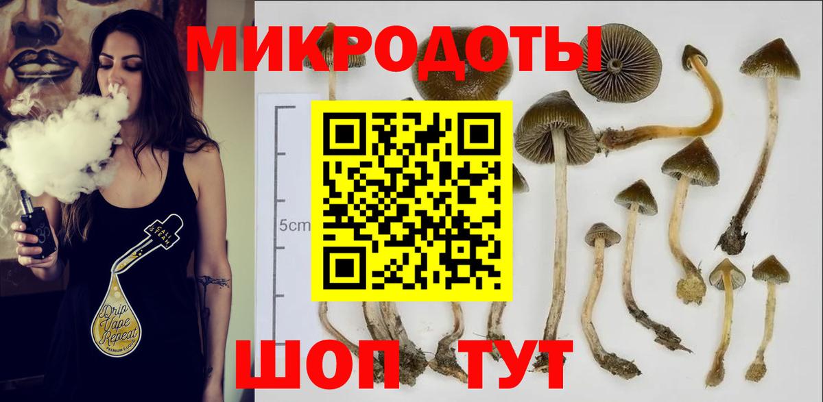 Псилоцибиновые грибы Psilocybine cubensis Армавир