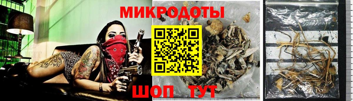 Армавир  Псилоцибиновые грибы мицелий  Вход с VPN 